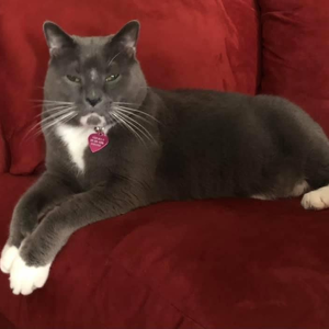 Fundraising Page: Norman LaSalle Earnest